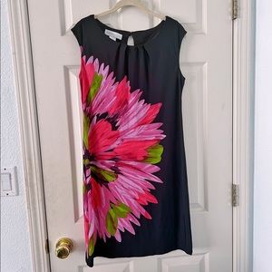 Studio by London Times beautiful pink and red floral black dress